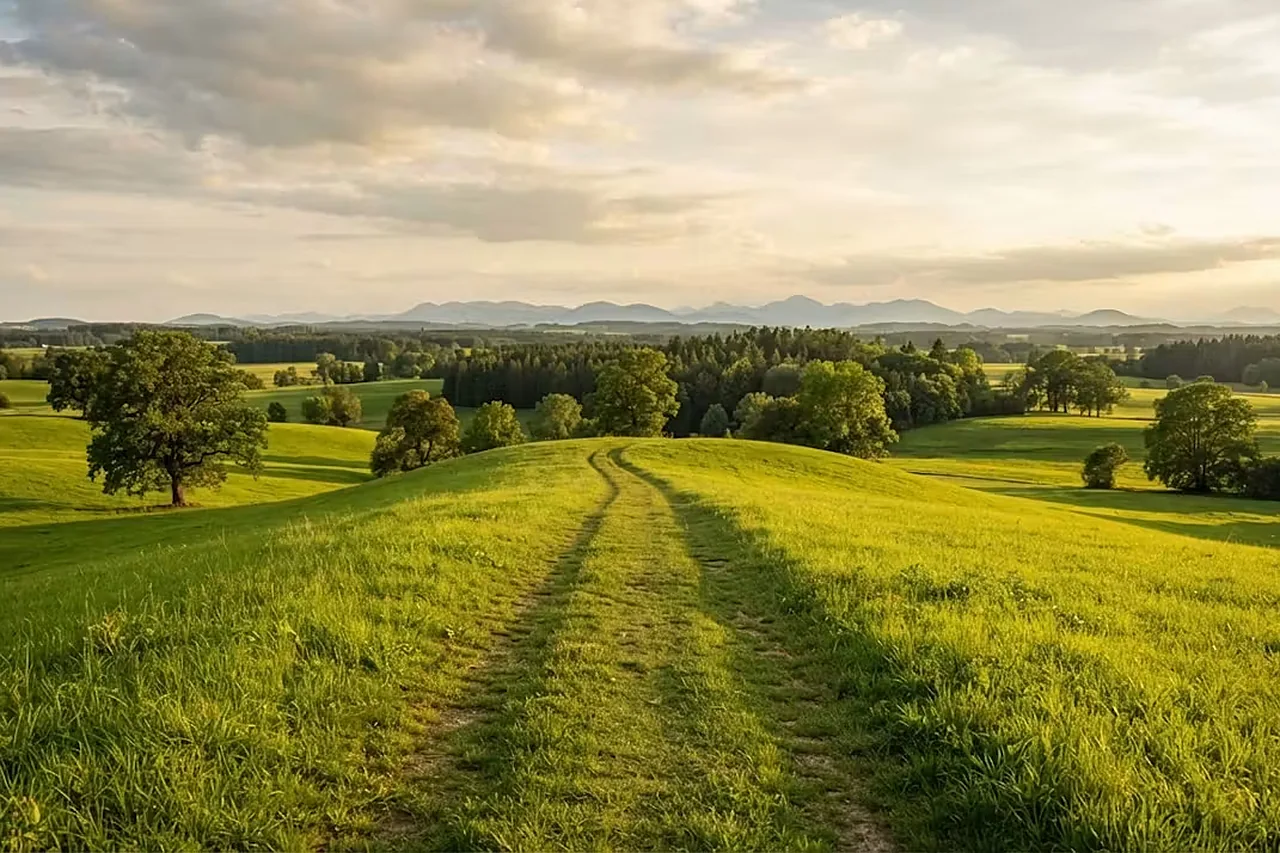 Gruener Wiesenweg fuehrt ueber einen Huegel in eine weite bayerische Landschaft mit Wald und Bergen am Horizont